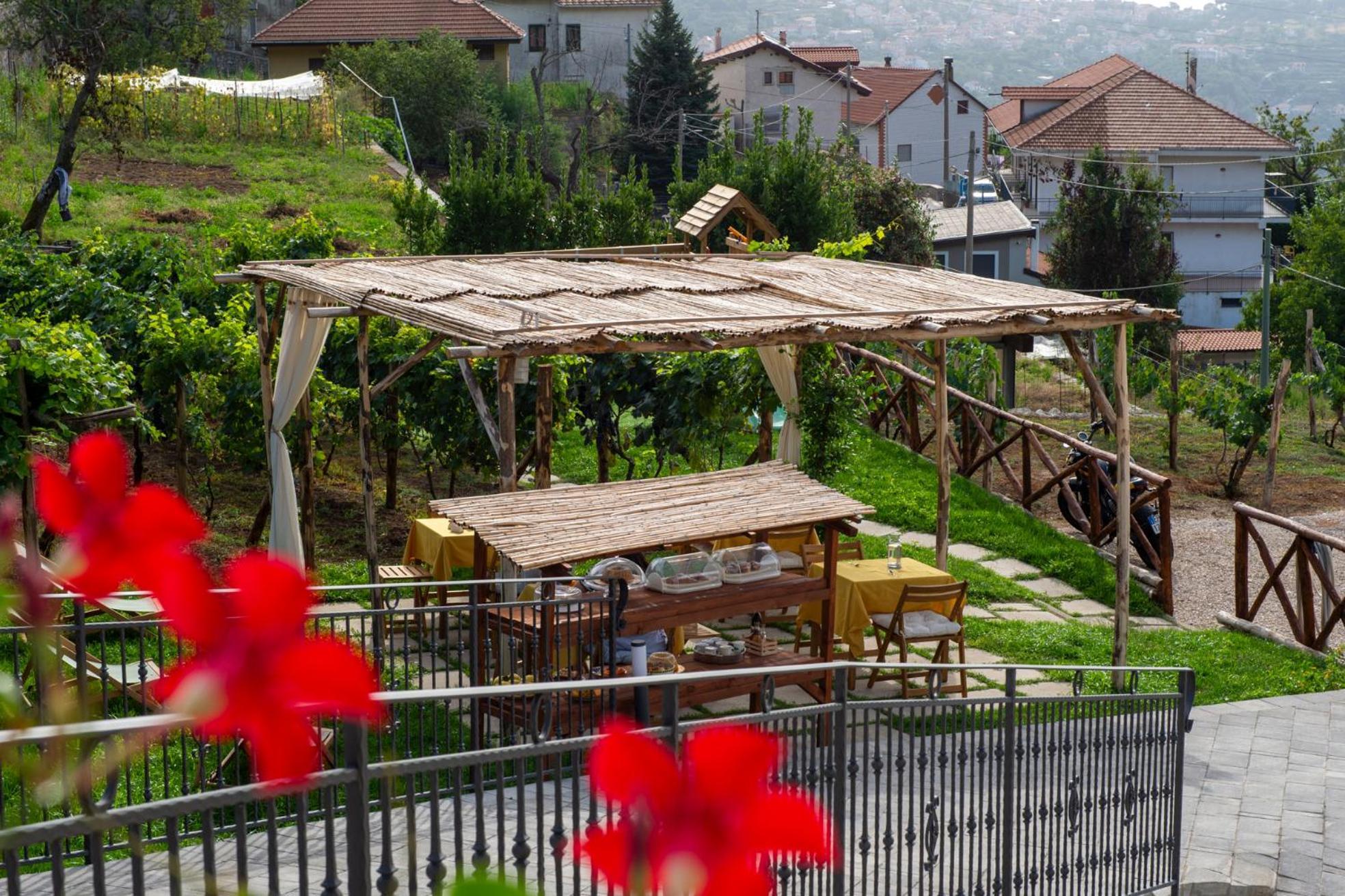 Il Vigneto Di Nonno Pietro Bed & Breakfast Agerola Exterior photo