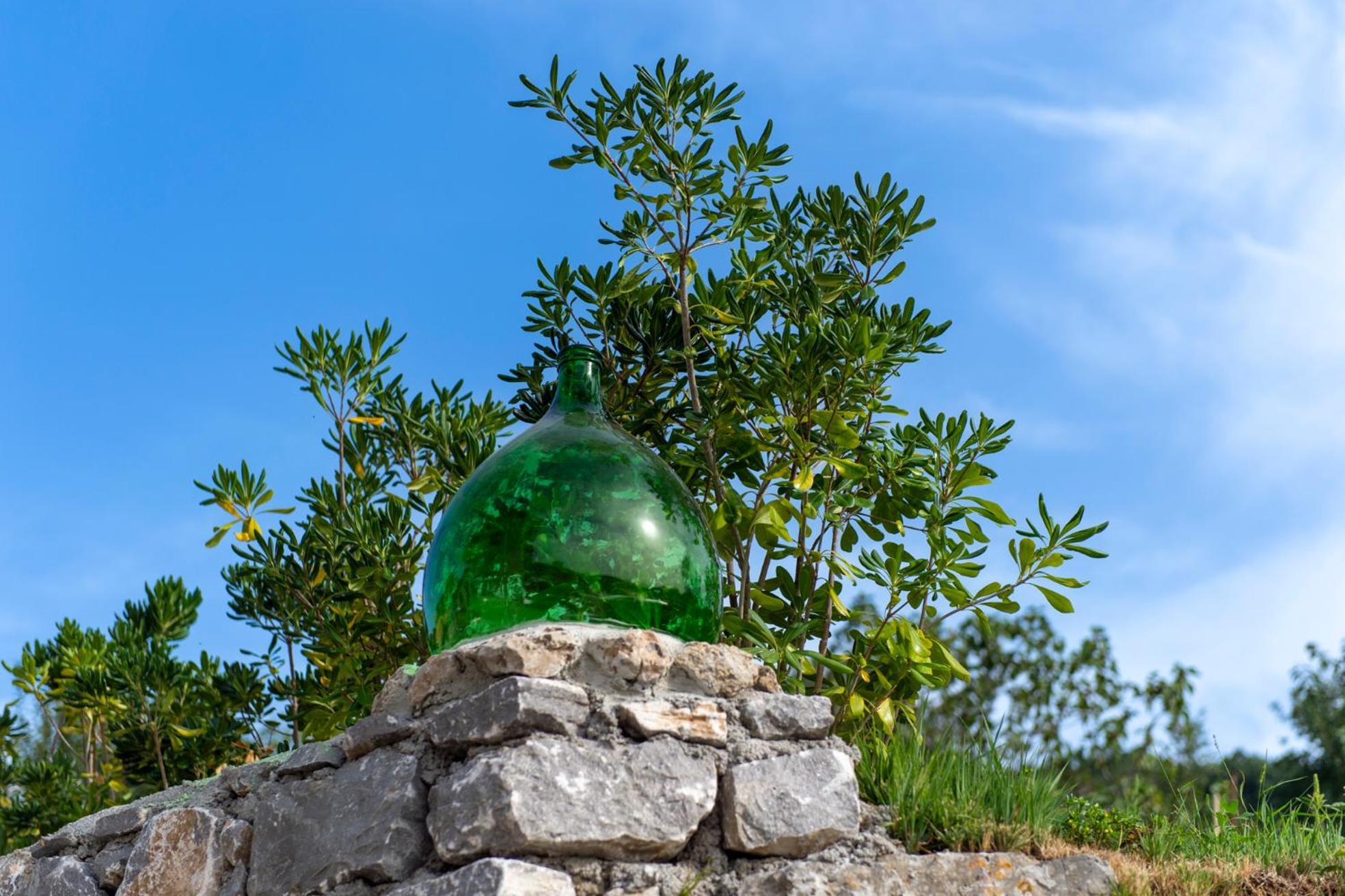 Il Vigneto Di Nonno Pietro Bed & Breakfast Agerola Exterior photo