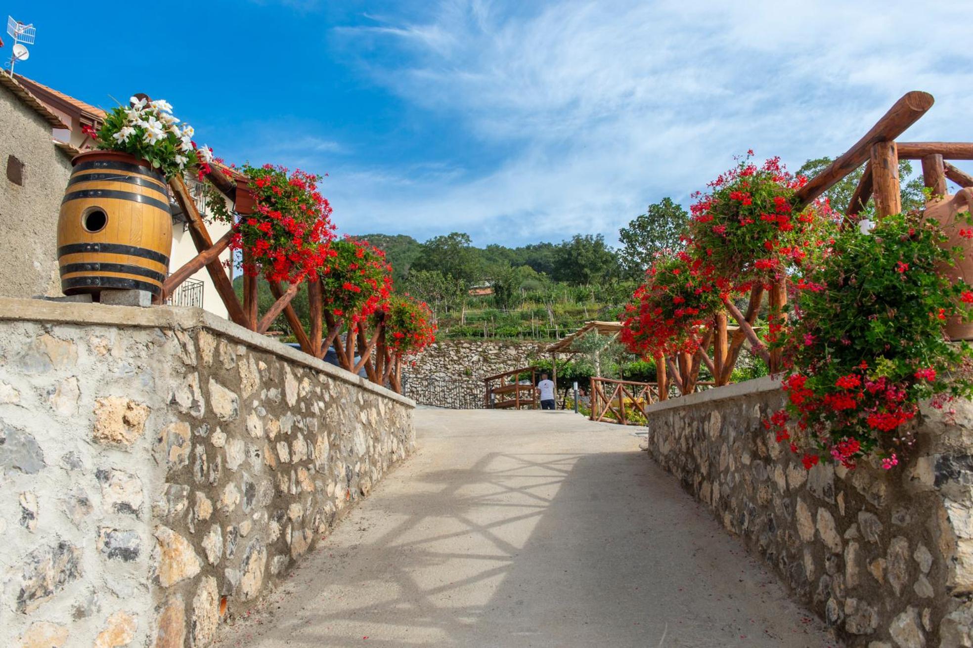 Il Vigneto Di Nonno Pietro Bed & Breakfast Agerola Exterior photo